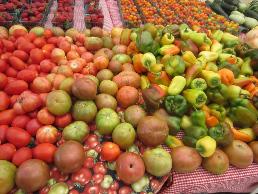 Fresh Market Tomatoes