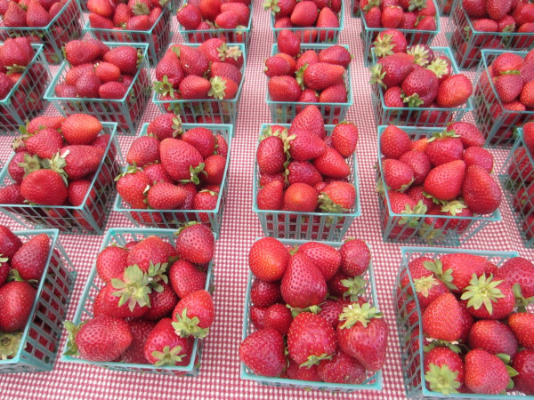 Red, Juicy Strawberries