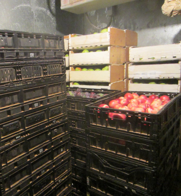 Apple Crats in Storage at Beal's Orchards