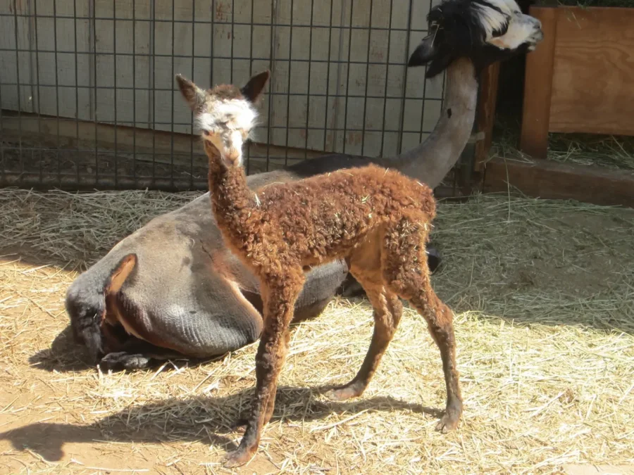 babywithmama11 (900x675)