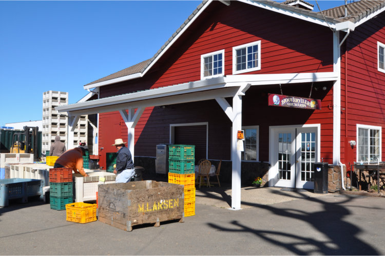 barn shot1 (750x499)