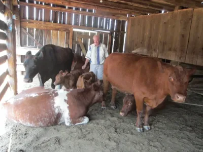 Irish Creek Ranch A Story In Time