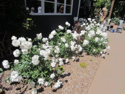 Kitchens In The Vineyards