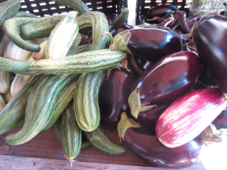 eggplantcucumbers