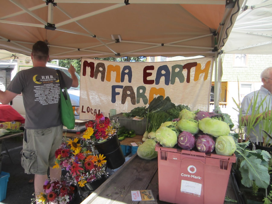 f mkt mamaearth2016 (900x675)