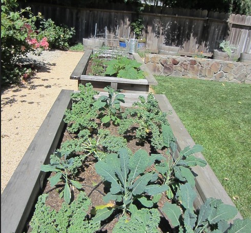 Raised Flower Beds