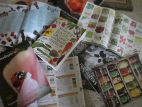 9 Garden Results That Taught Me A Lesson In Winter