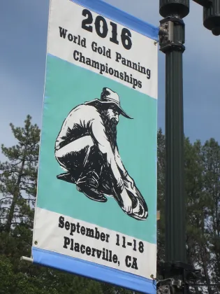 goldpanbanner 0883 (315x420)