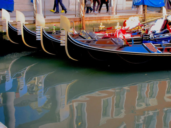 The “ferro”representing the districts and islands of Venice.