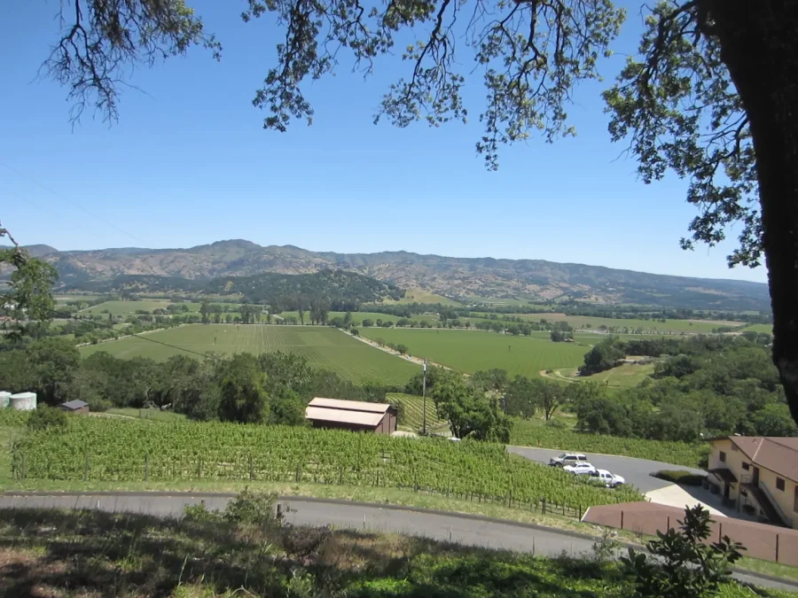 keevervineyardview1 (900x675)