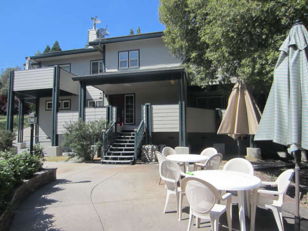 patio 2018 (600x450)