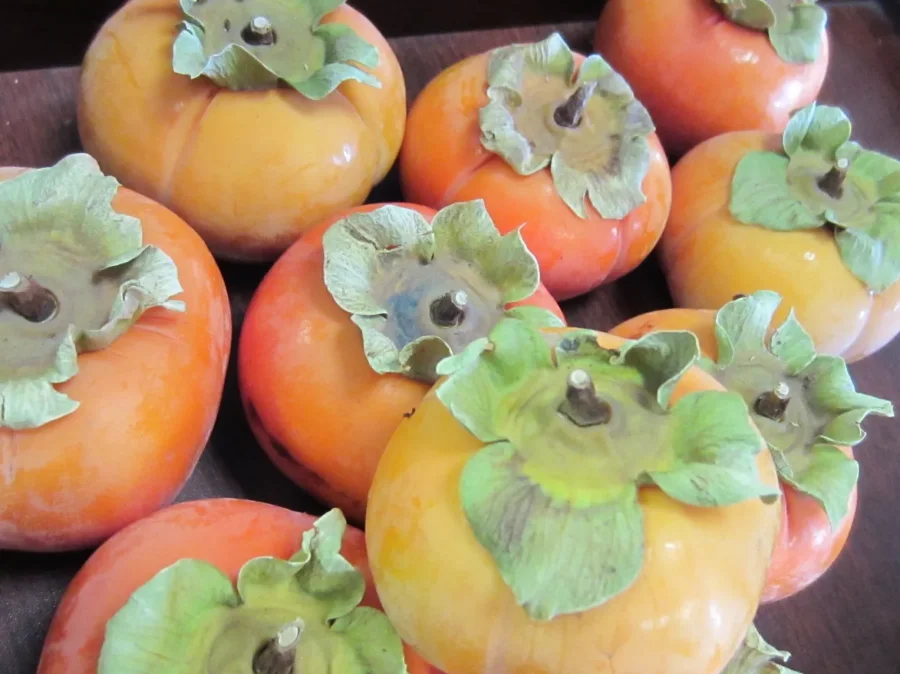 persimmons (900x674)