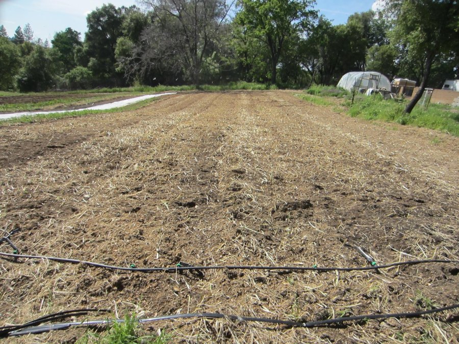 Tending Mother Earth also means making sure the soil is abundantly healthy and full of nutrition.