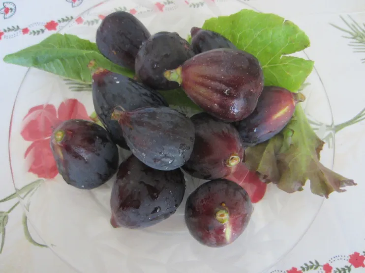 A Pretty Dishful of Figs