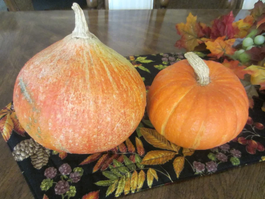 Red Curry and Kabocha