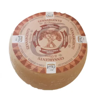 sardinian sheep s cheese gennargentu caseificio di oliena