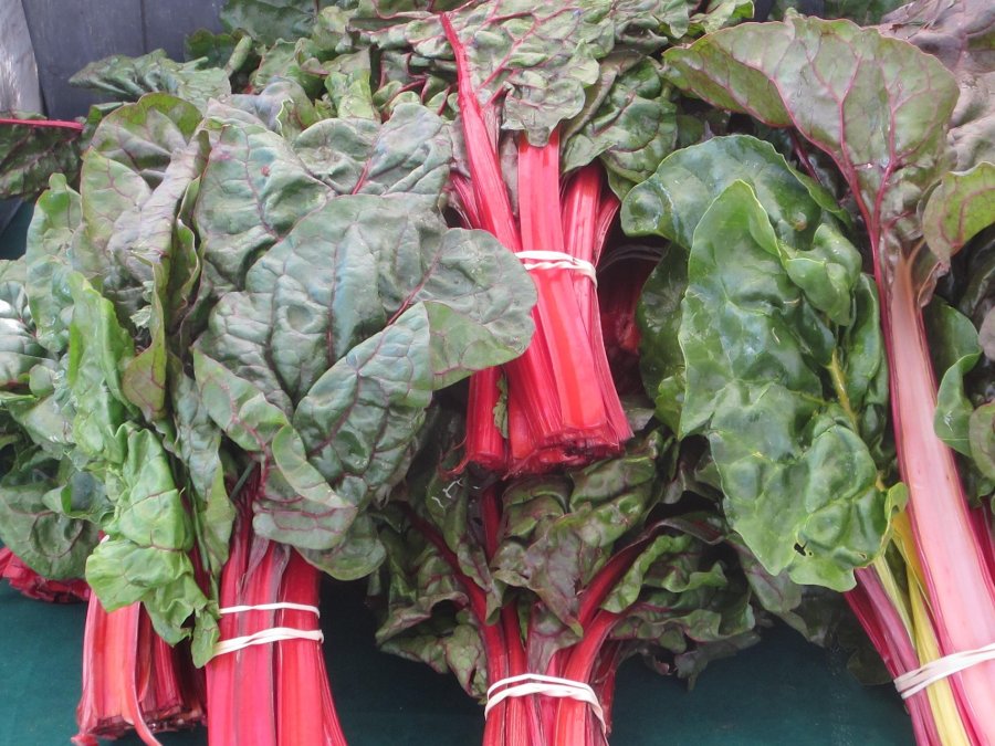 Swiss Chard