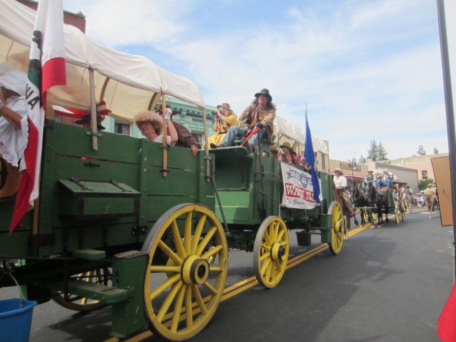 wagonslong 0870 (900x675)