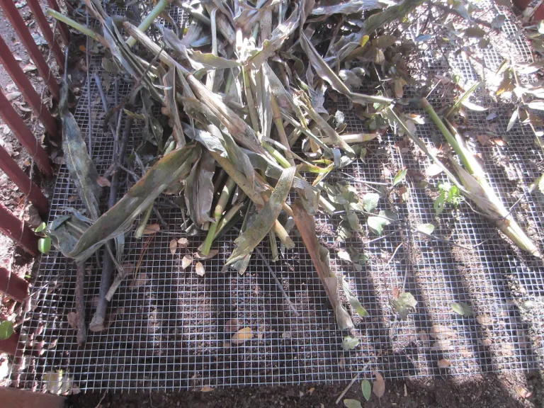 wire in the bin (768x576)